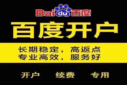 百度竞价推广公司案例：从竞争激烈的市场脱颖而出